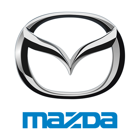 RGM REARGUARD FITS MAZDA 2 2015-2019 Silver/Black/Gloss Black/Carbon Fiber Pattern - Image 6