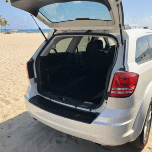 RGM REARGUARD FITS DODGE JOURNEY 2009-2017 Silver/Carbon Pattern/Gloss Black/Black